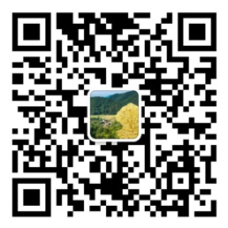 彩神v8登录网站